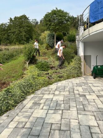 Rénovation d'un talus à Didenheim : avant le terrain était recouvert d'une végétation peu entretenue